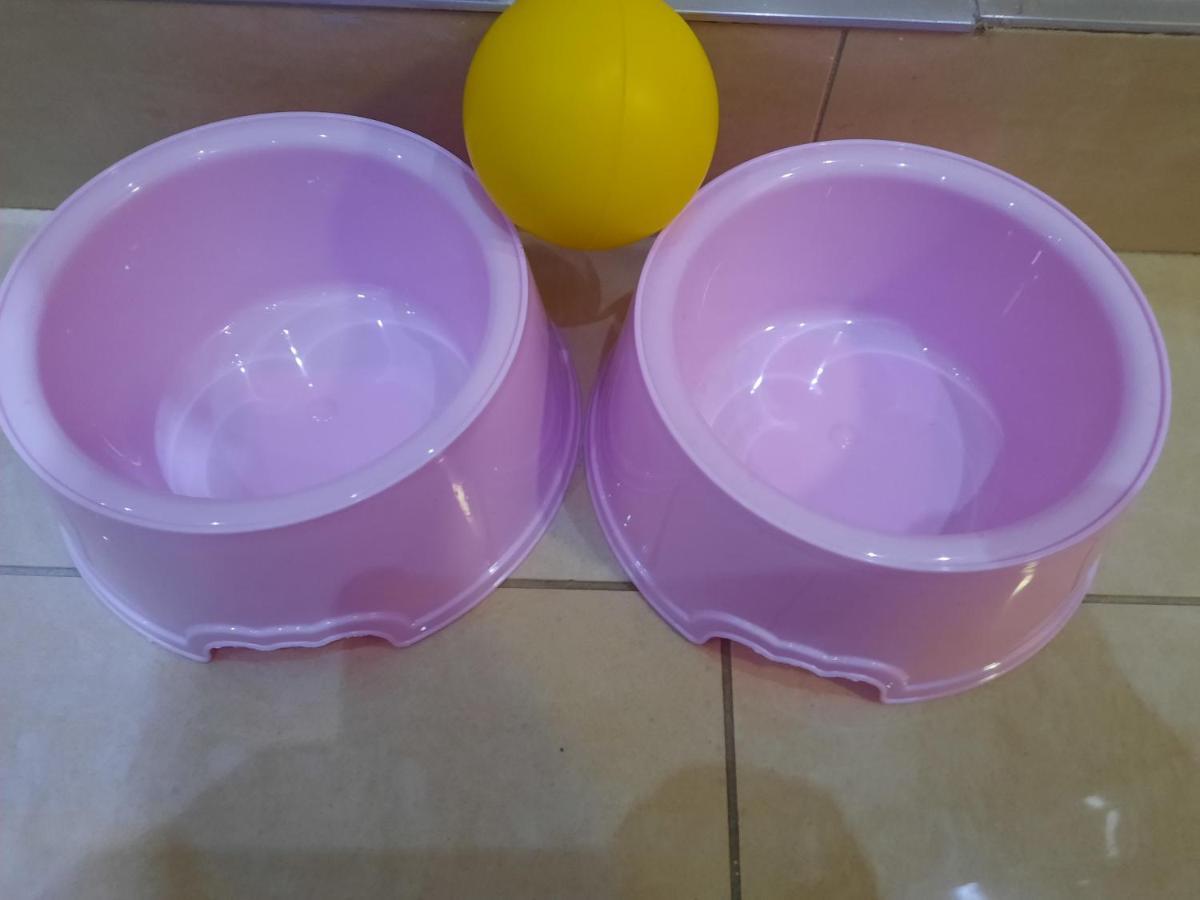 Apartment Alex غييكا المظهر الخارجي الصورة